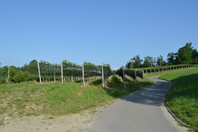 azienda