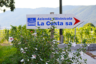 azienda