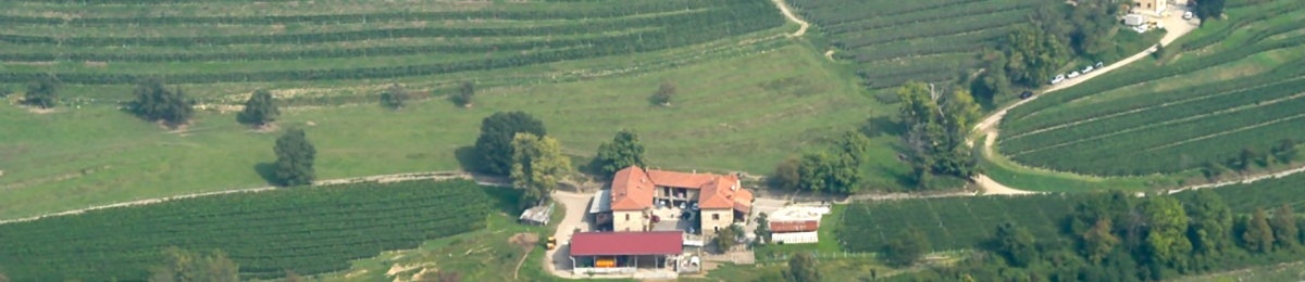 azienda